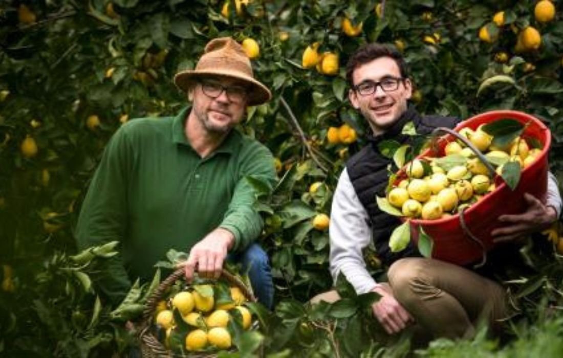 PÔLE 1 _ PRODUCTION VÉGÉTALE (2)