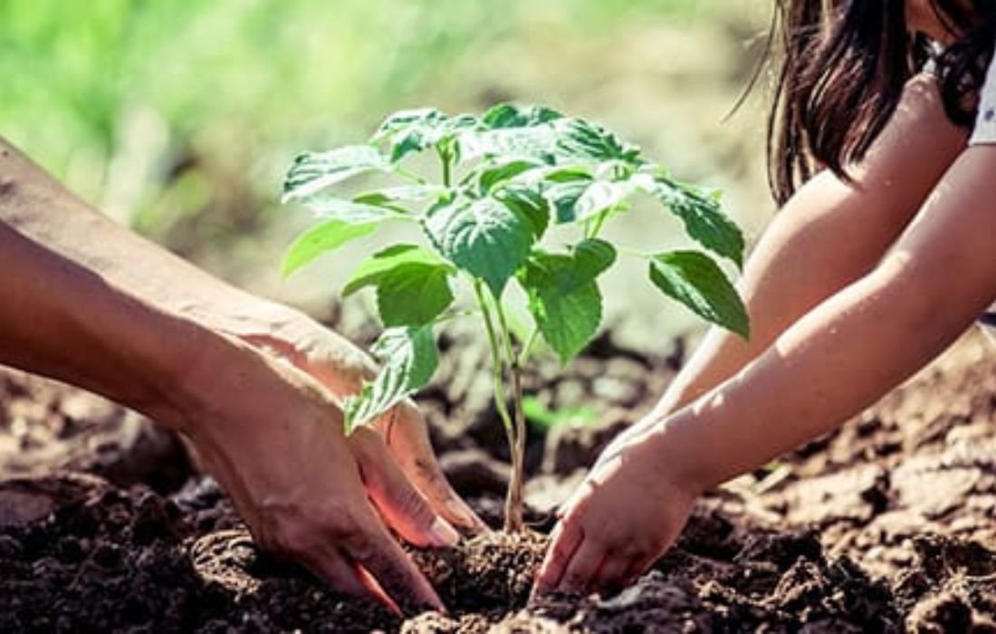 PÔLE 1 _ PRODUCTION VÉGÉTALE (3)