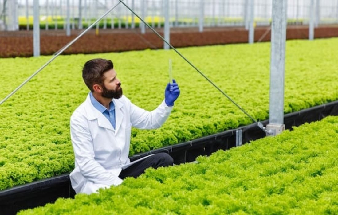 PÔLE 1 _ PRODUCTION VÉGÉTALE (4)