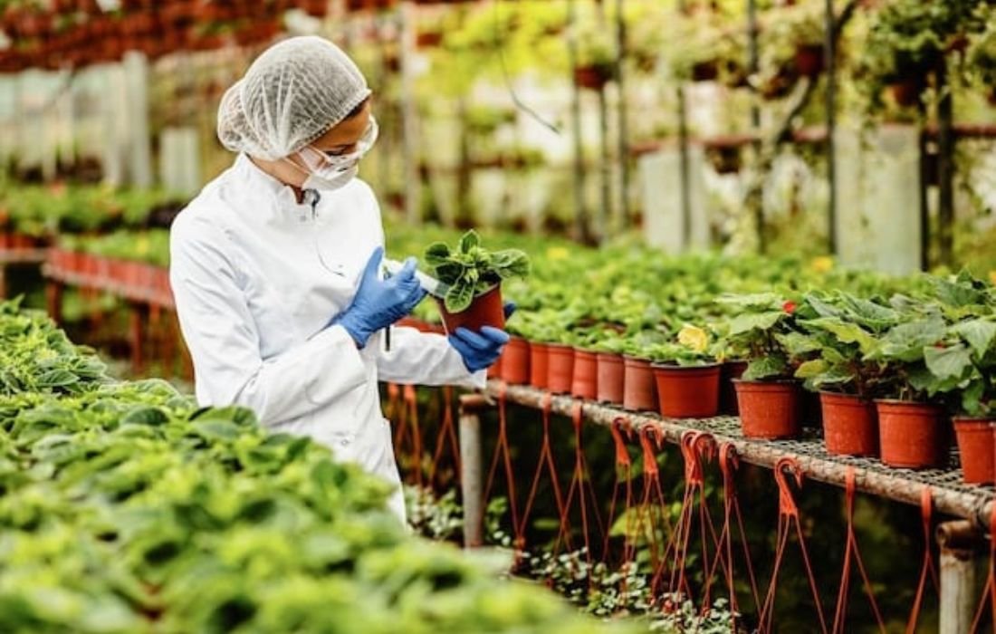 PÔLE 1 _ PRODUCTION VÉGÉTALE (5)