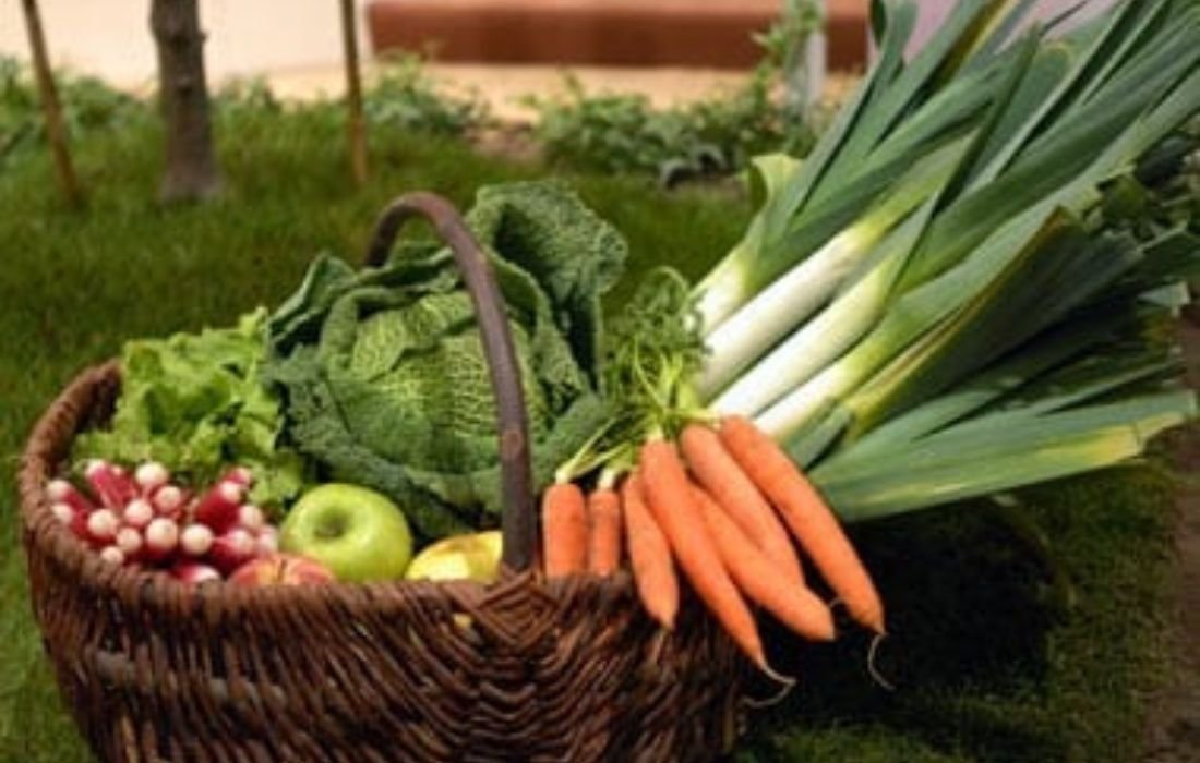 PÔLE 1 _ PRODUCTION VÉGÉTALE