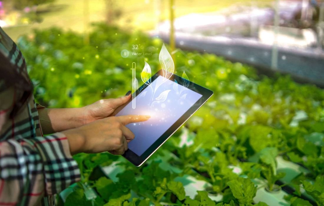 PÔLE 3 _ SMART AGRICULTURE (2)