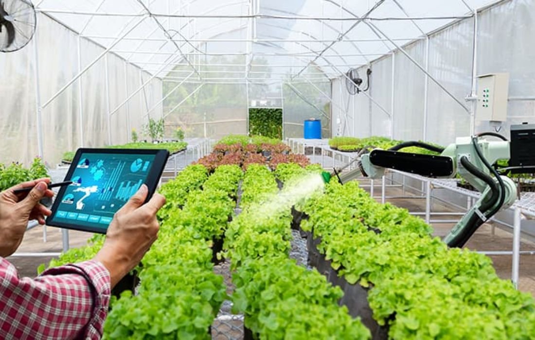 PÔLE 3 _ SMART AGRICULTURE (3)