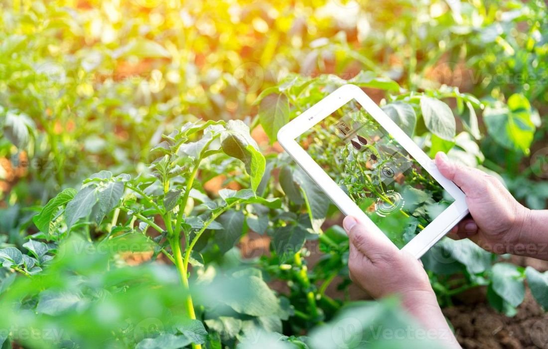 PÔLE 3 _ SMART AGRICULTURE
