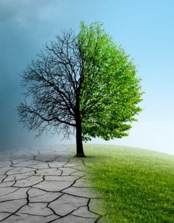 PÔLE 4 _ ENVIRONNEMENT & CHANGEMENTS CLIMATIQUES PÔLE 4 _ ENVIRONNEMENT & CHANGEMENTS CLIMATIQUES