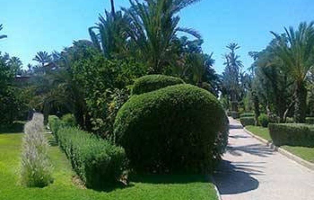 PÔLE 5 _ ARBUSTES À FLEURS & ESPACES VERTS (2)