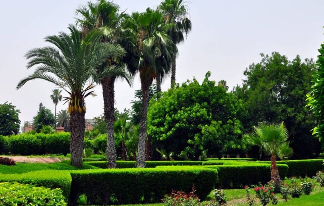 PÔLE 5 _ ARBUSTES À FLEURS & ESPACES VERTS (4)