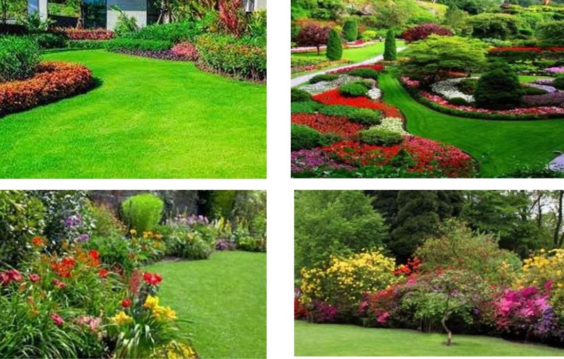 PÔLE 5 _ ARBUSTES À FLEURS & ESPACES VERTS